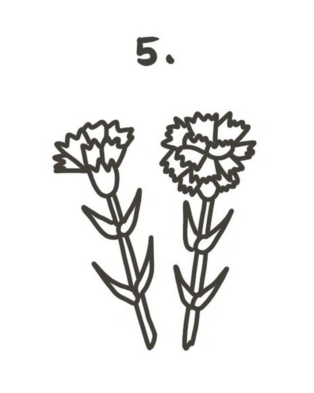 95手绘教程|如何画康乃馨?