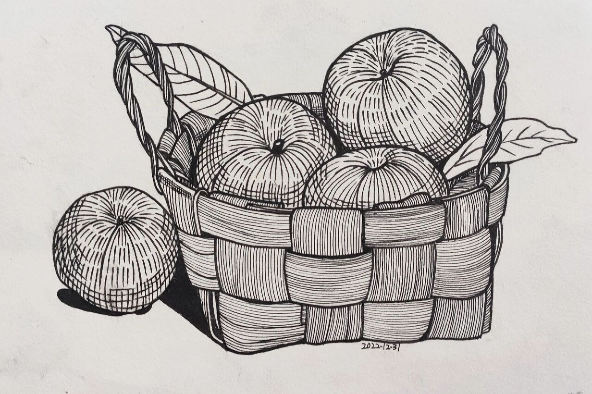 蔬菜/水果写生 〖苹果96〗素材来源