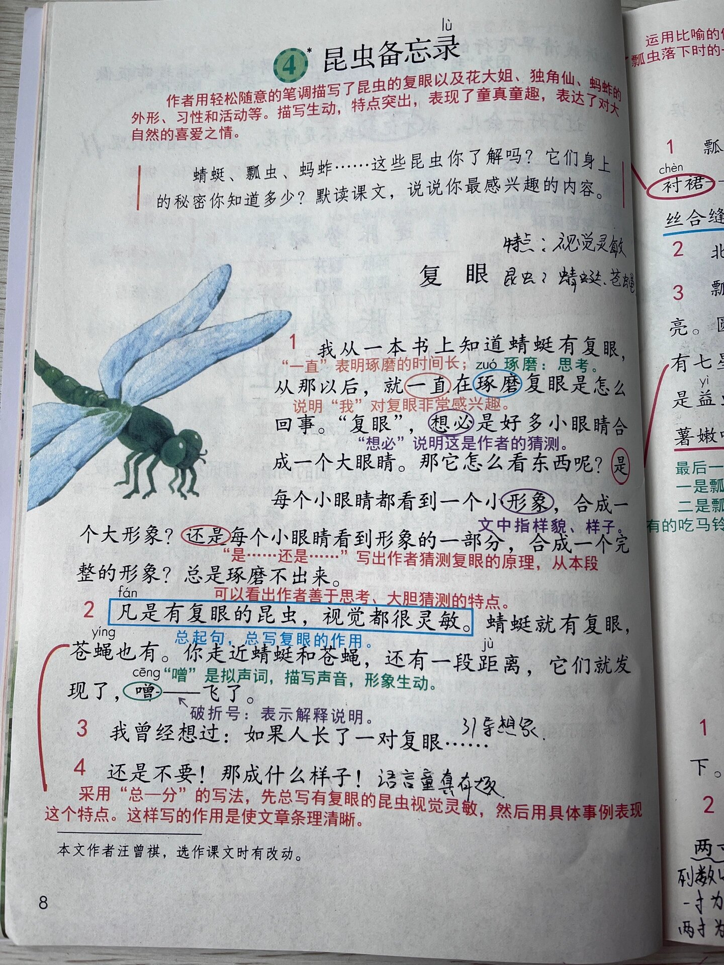 昆虫备忘录课后反思图片