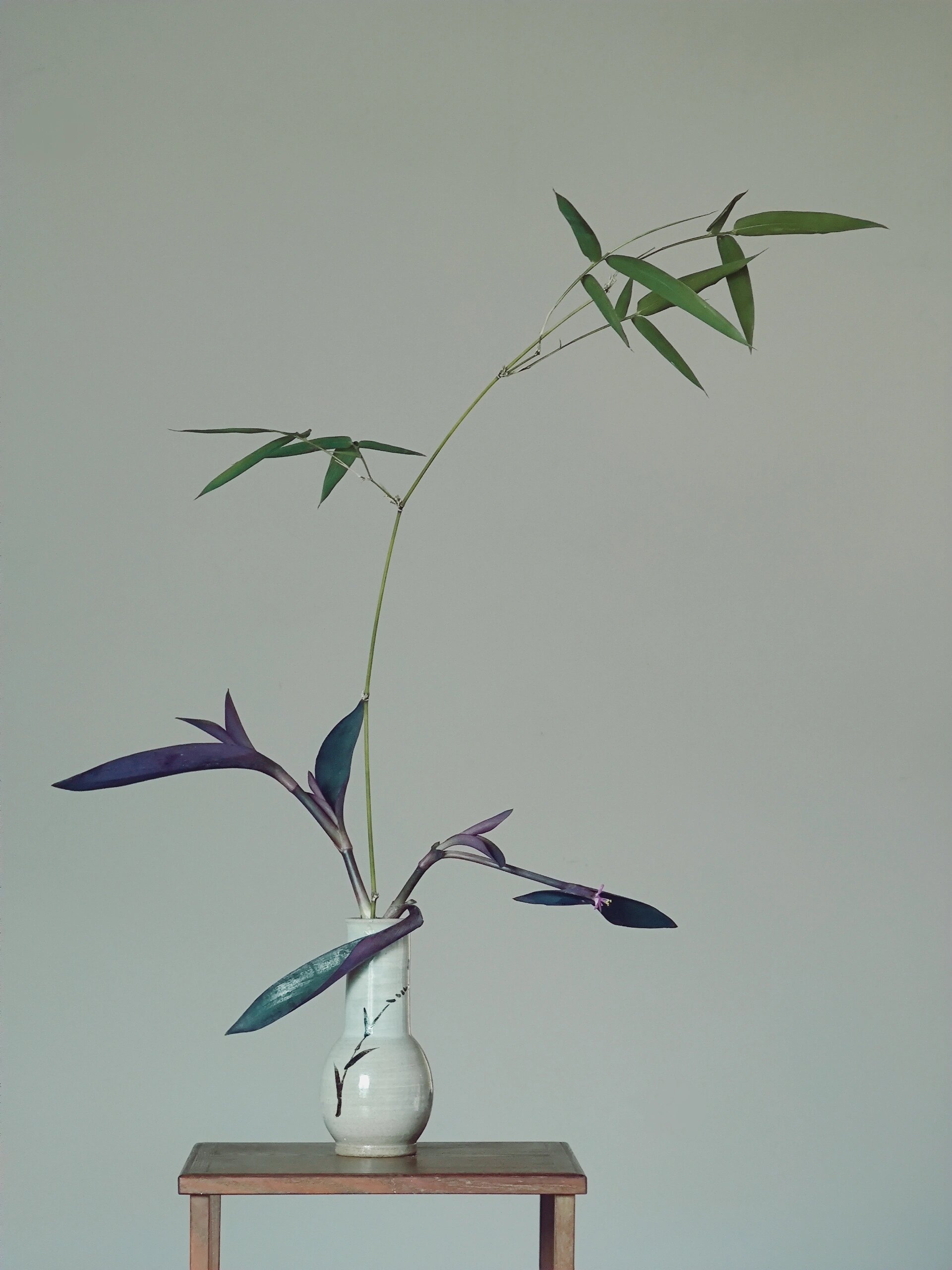 紫竹梅 和 竹 拿到这个手绘竹瓶的时候 我心里想的就是拿来插竹子