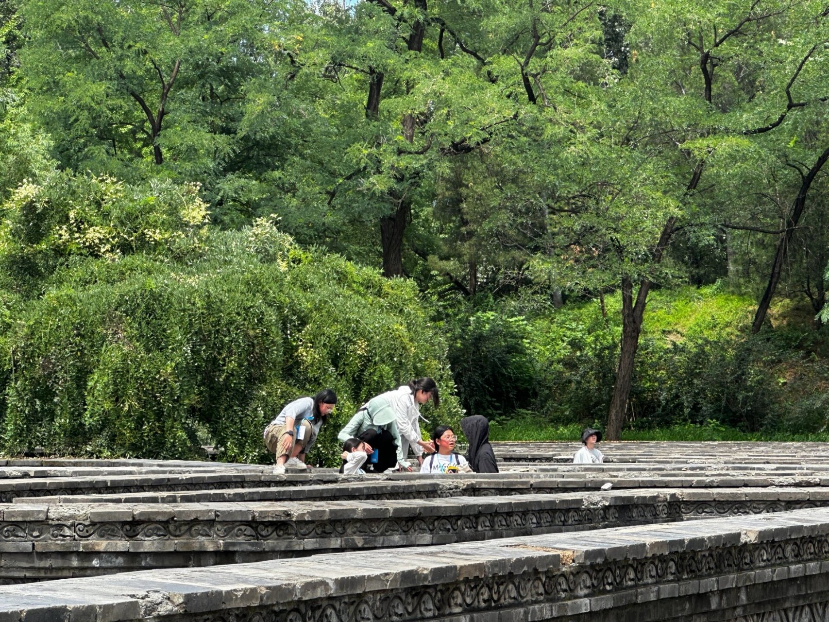 黄花阵迷宫图片