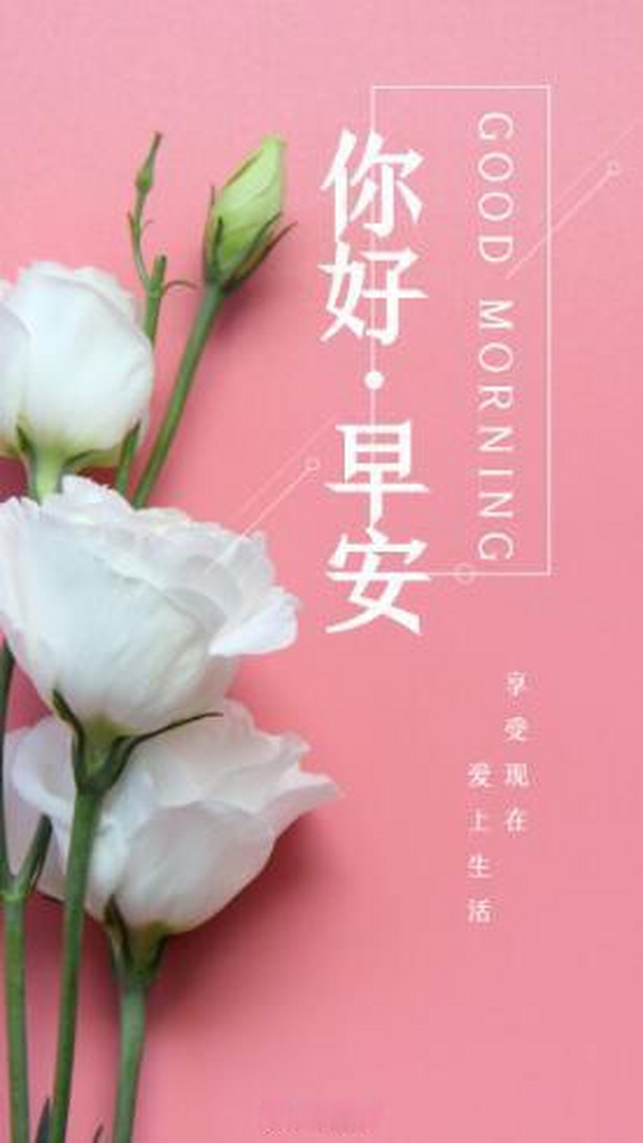 生活要像花一样,不管有没有人欣赏,都要绽放,不为别人,只为做最绚丽的