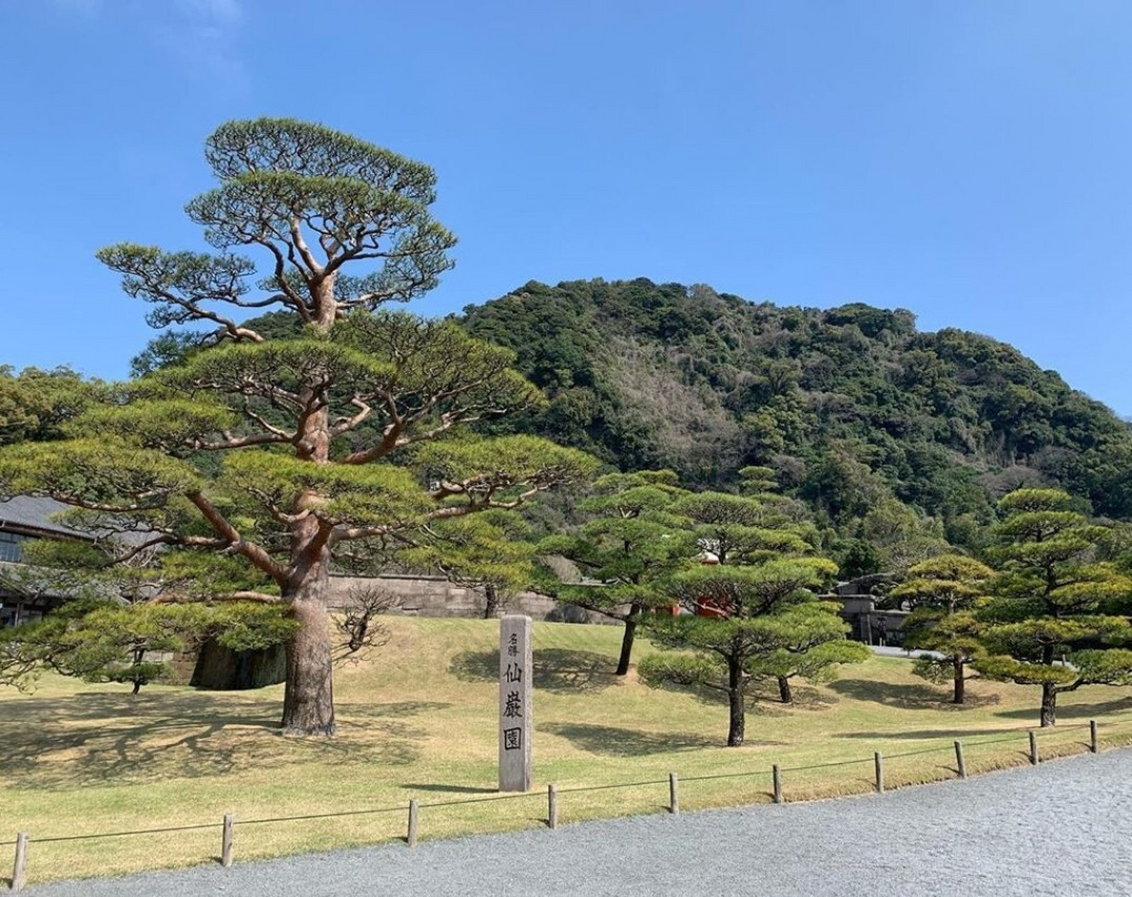 日本萨摩蕃的前世今生◎鹿儿岛仙岩园 这里以可以观赏樱岛和锦江湾