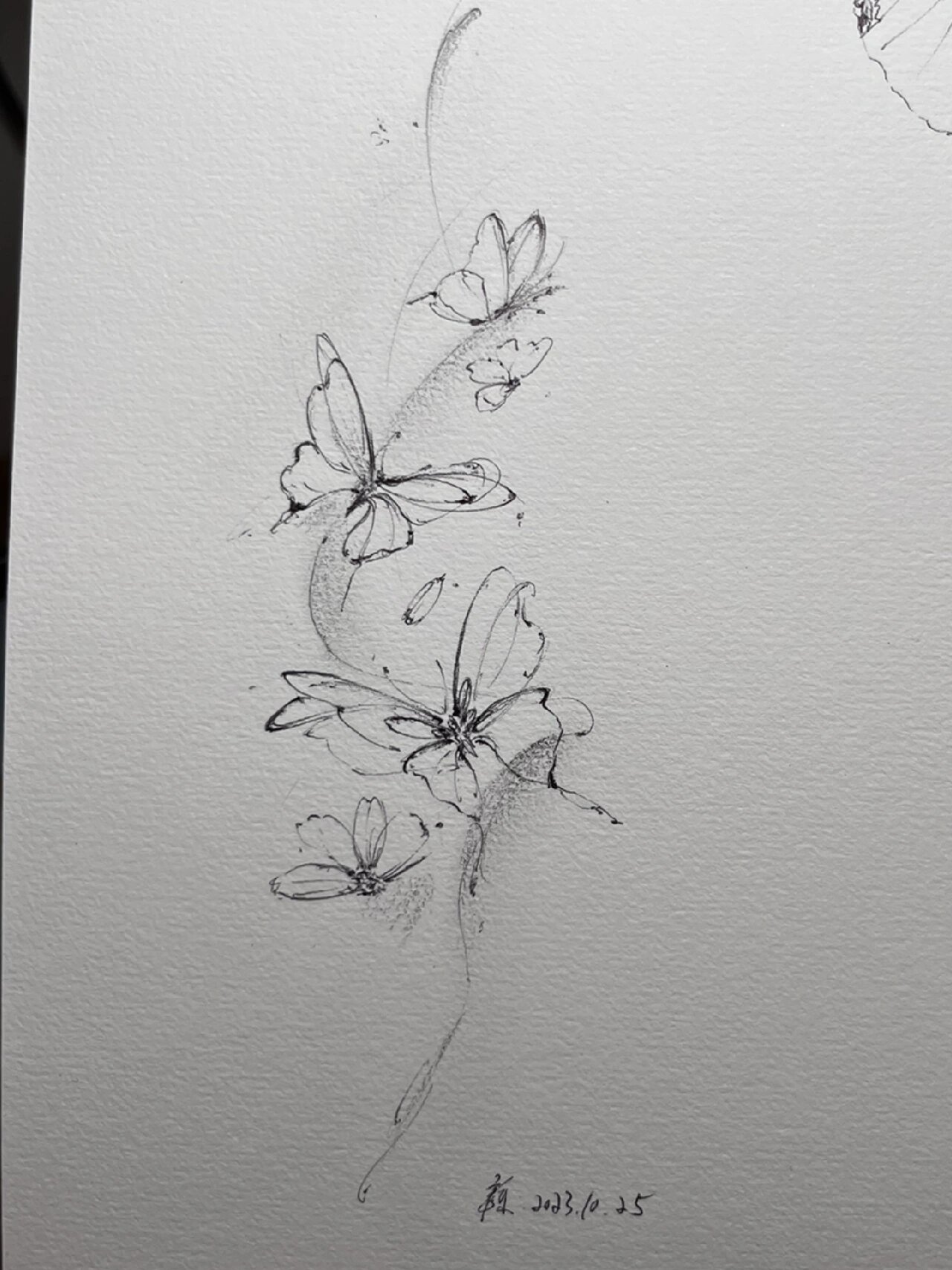 蝴蝶速写✍️-极简主义tattoo