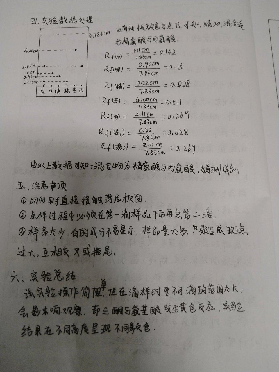 薄层层析结果图图片