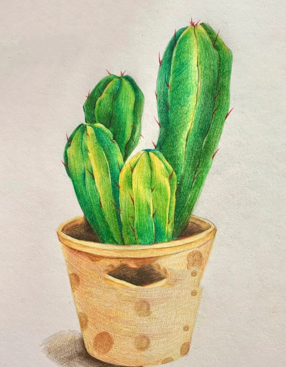 彩铅多色渐变第一课学什么|《漂亮的仙人掌》 学习重点是对于渐变色的