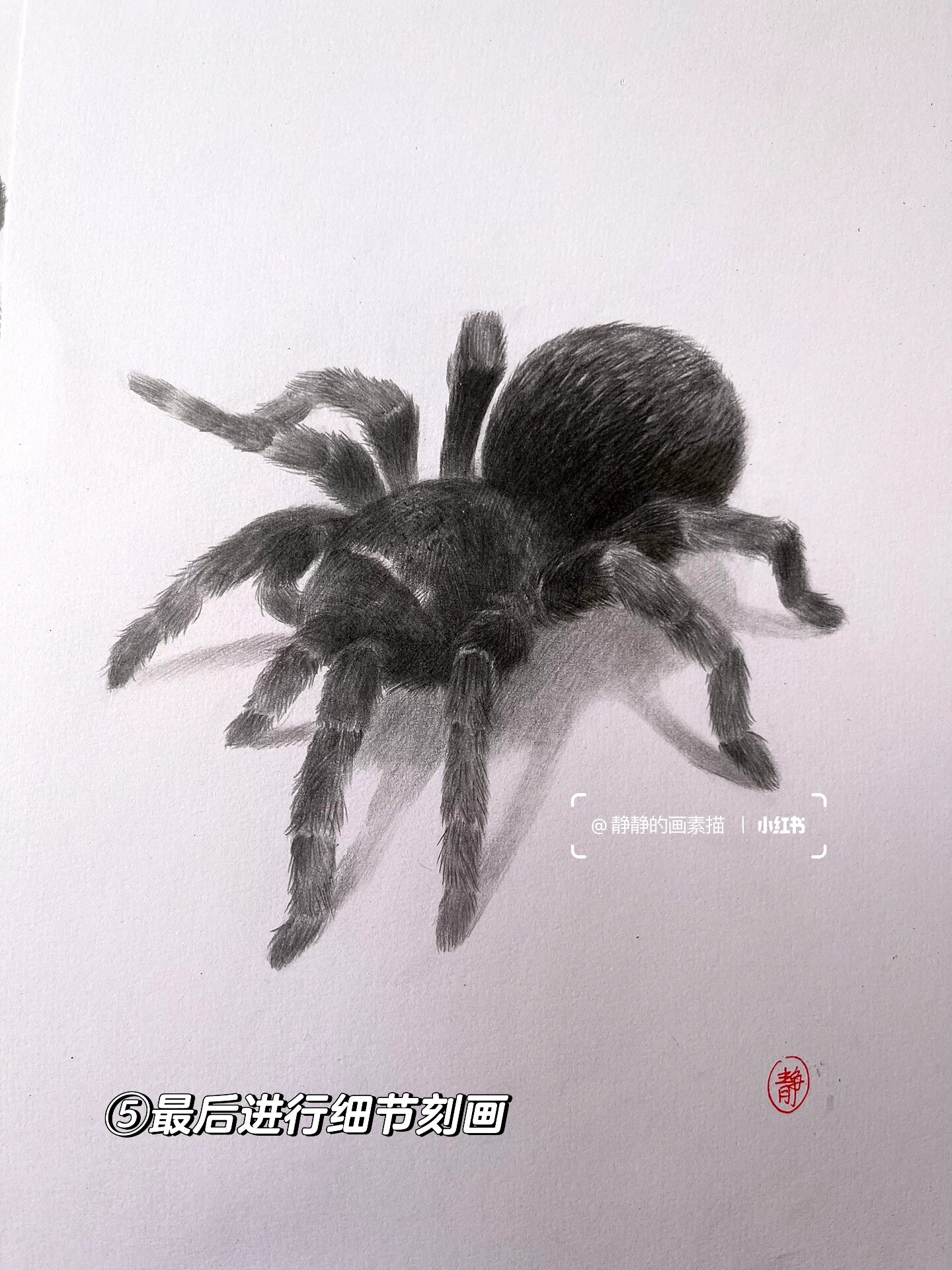 教程 材料:7315铅笔,97素描纸,橡皮擦,纸巾 1,先大概定好蜘蛛的