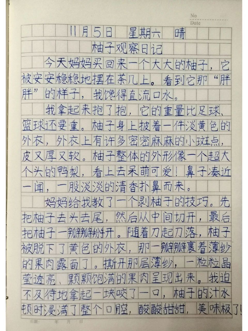 一篇观察日记300字三年级植物(观察日记 植物篇三年级100字)