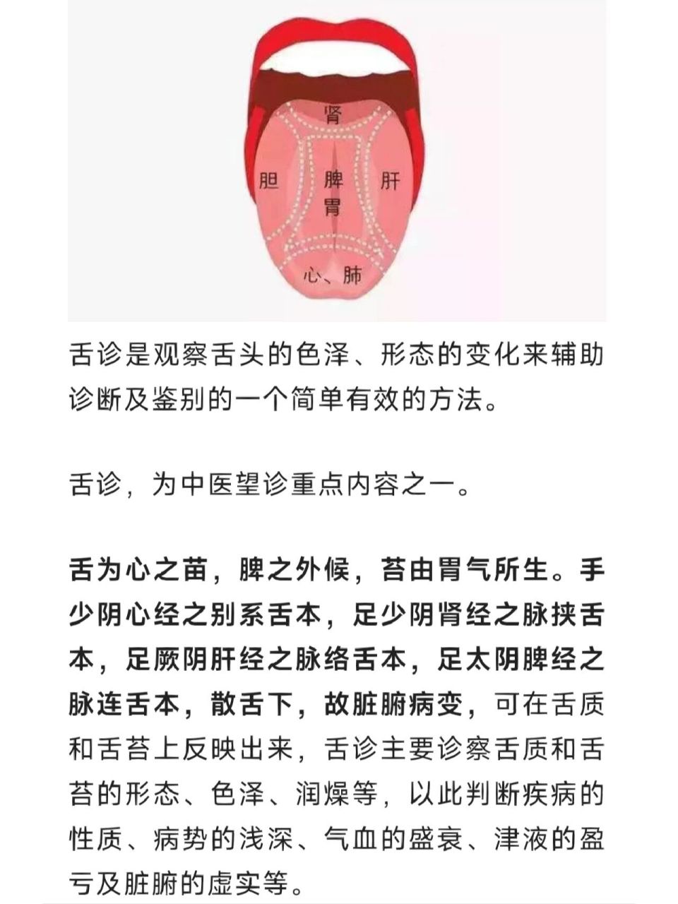 小儿舌诊辨证图谱讲解图片