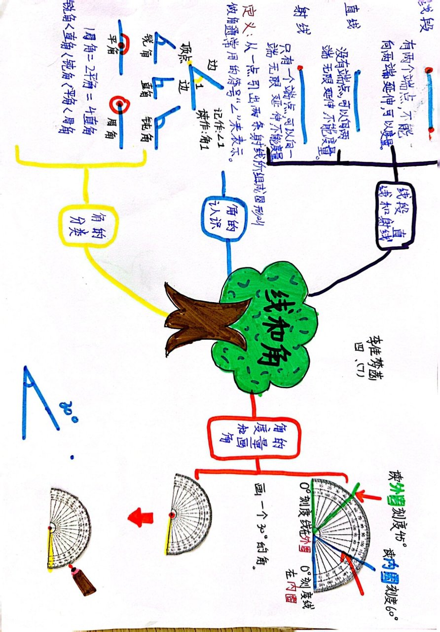 角平分线的思维导图图片