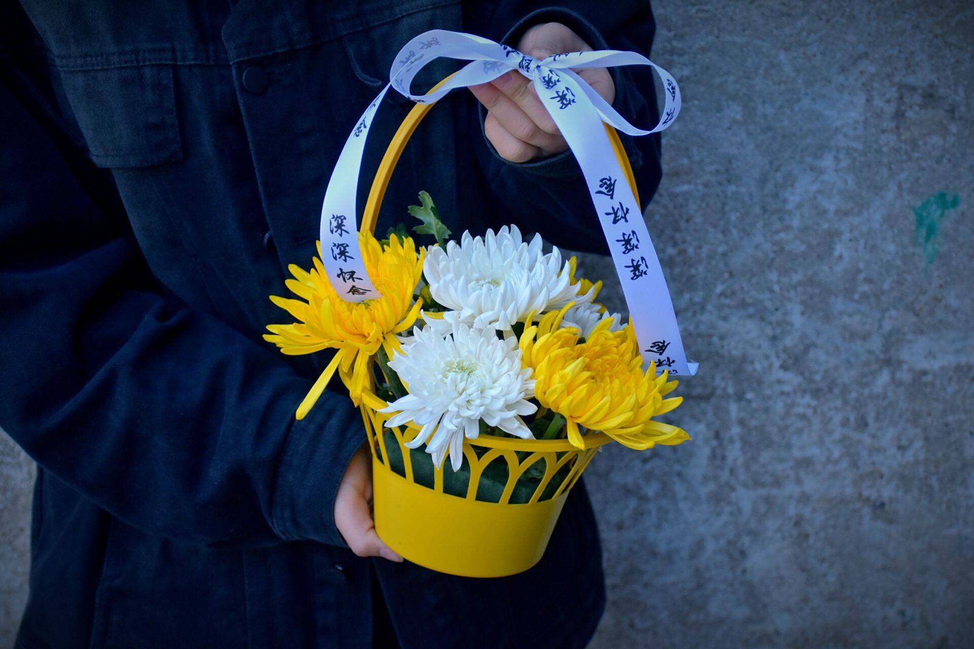 清明节祭祖扫墓花束 一束菊花祭哀思,一束菊花,一生思念
