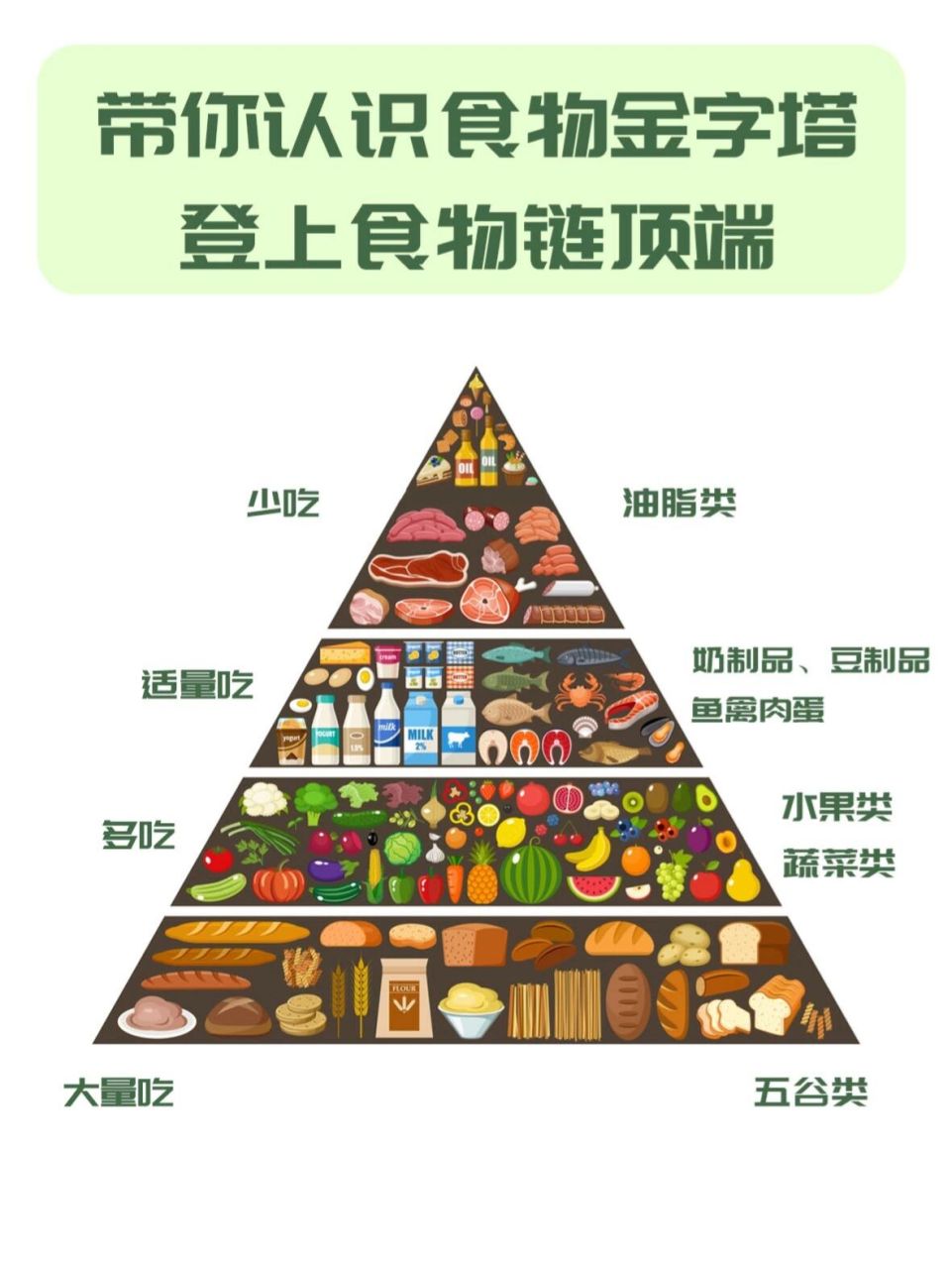 带你认识食物金字塔 登上食物链顶端 食物金字塔是营养学家为了帮助