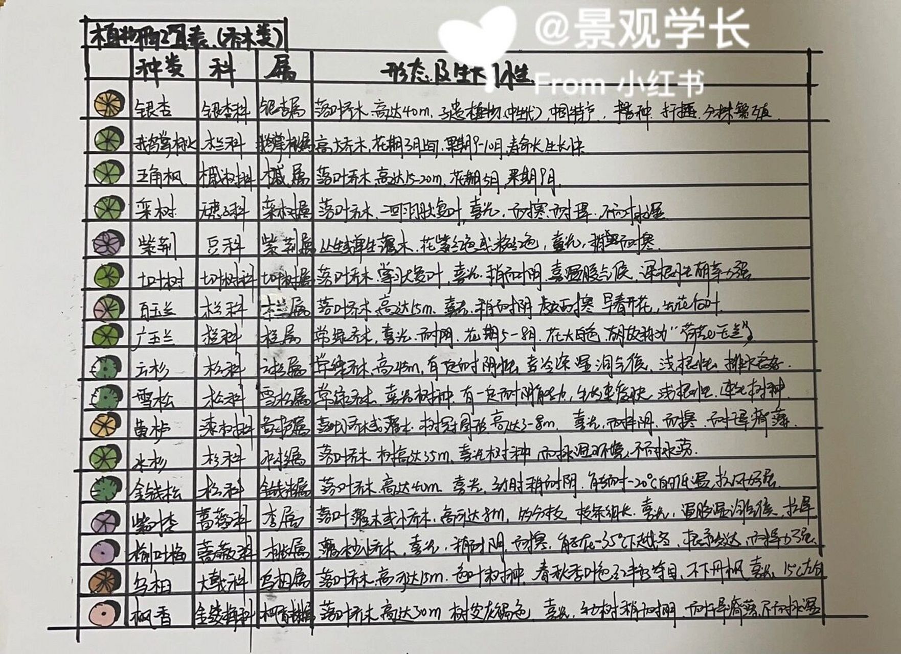 乔木类植物配置表