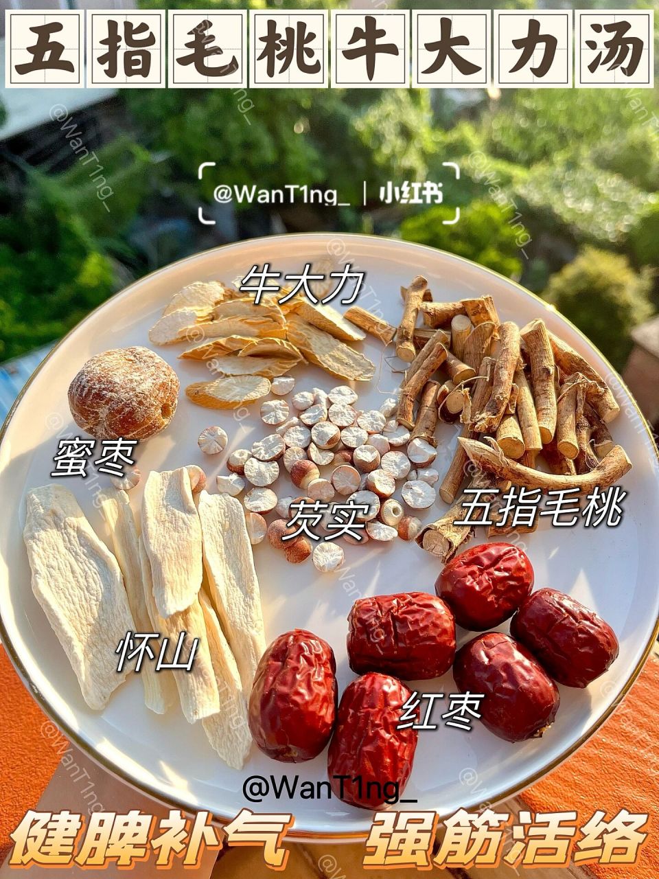 【五指毛桃牛大力汤】 90材料:五指毛桃,牛大力,怀山,芡实,红枣