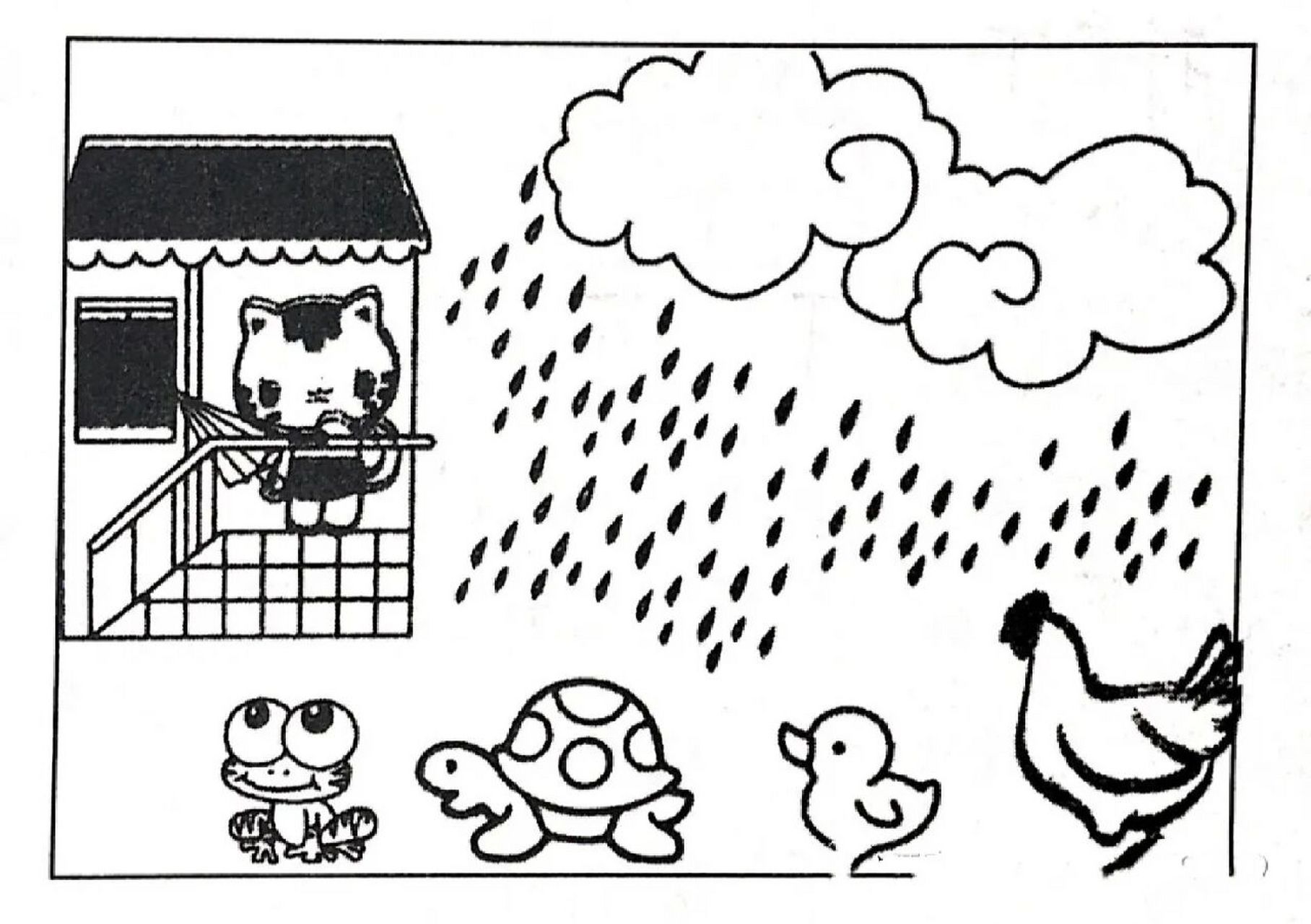 看图写话 小猫借伞 天空乌云密布,不一会儿,下起了倾盆大雨,小花猫拿