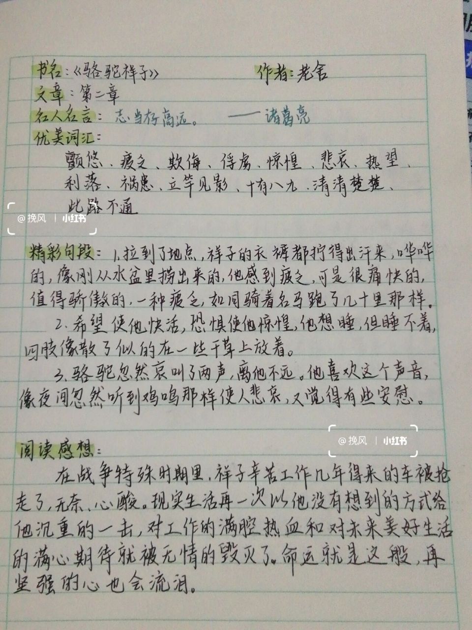 《骆驼祥子》读书笔记 第二章