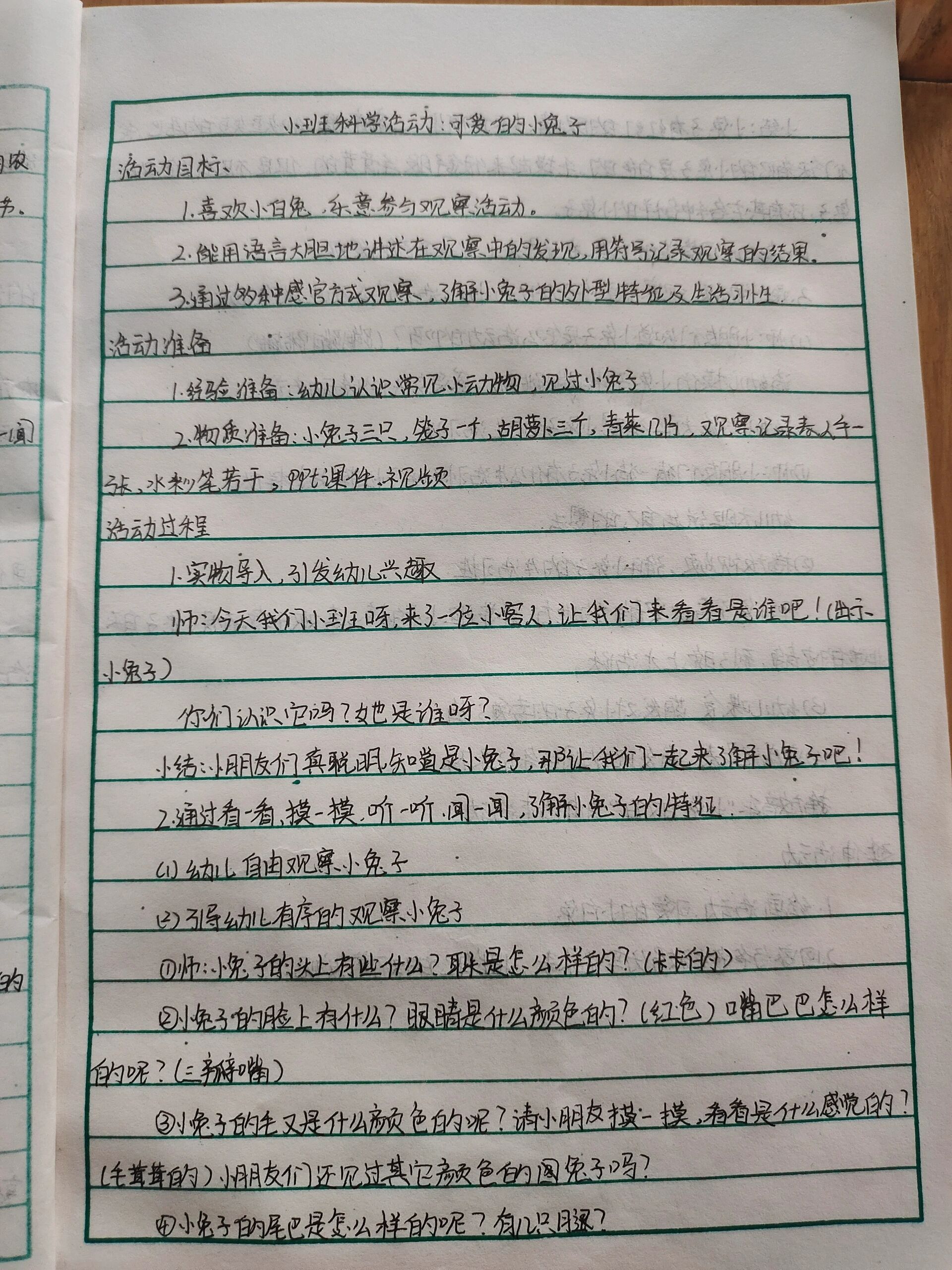 小班科学观察活动:可爱的小兔子  :可爱的小兔子