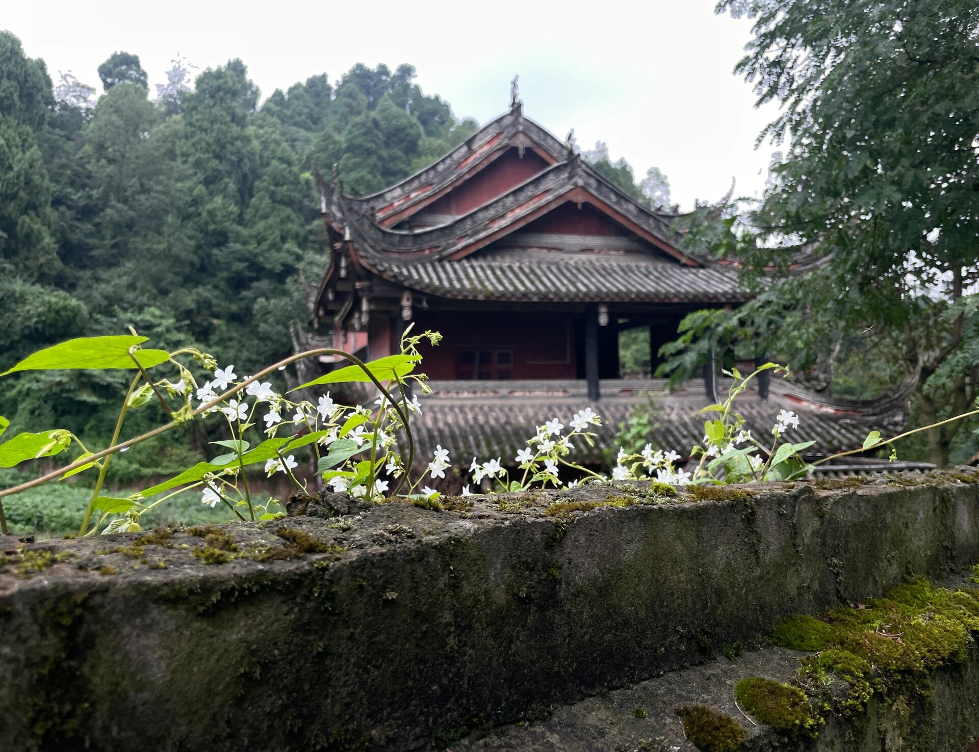 2019彭州葛仙山风景区图片