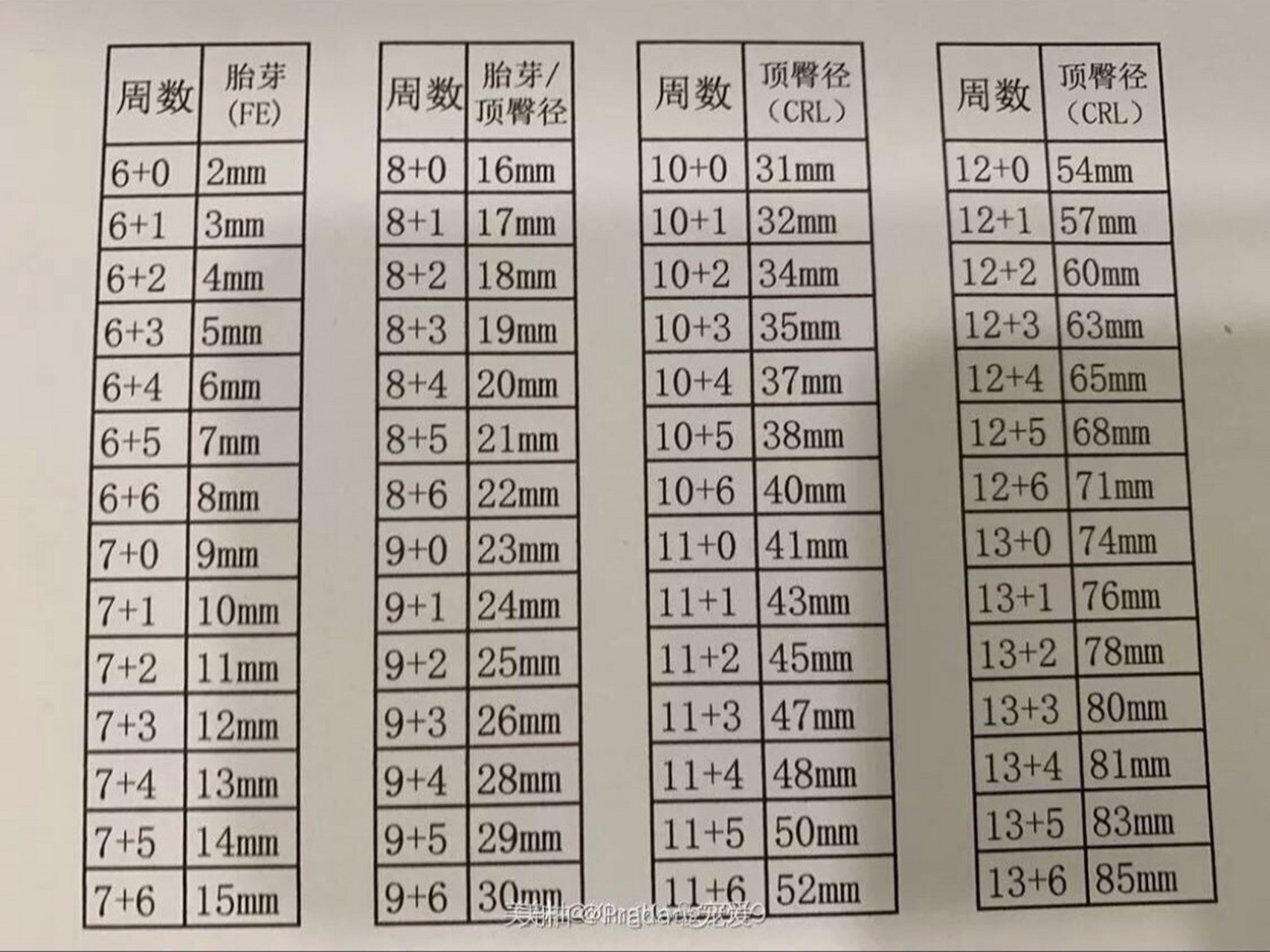 顶臀径长标准对照表图片