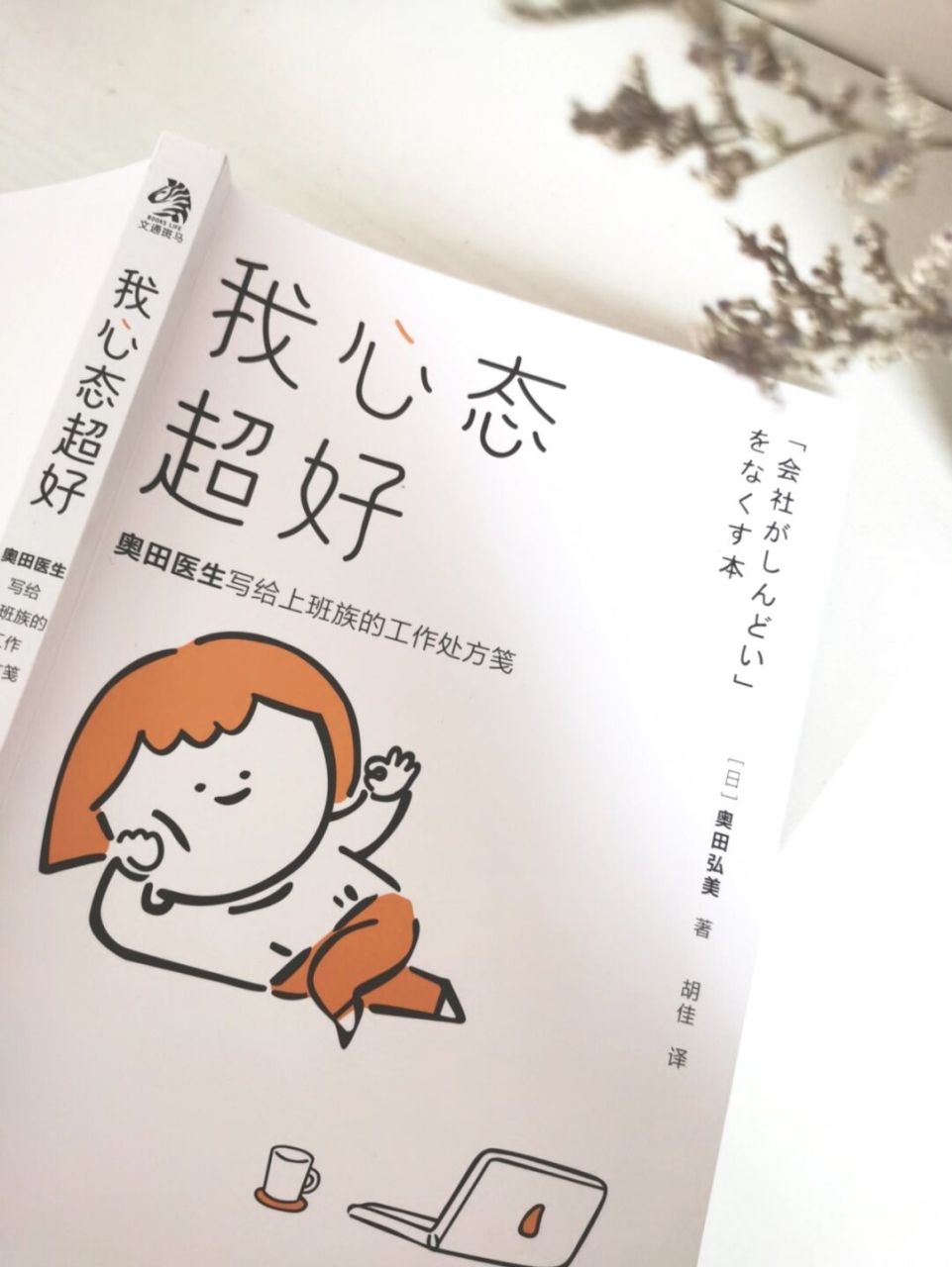 本书献给工作中默默承受一切的你 96《我心态超好》 	 "我从未想过