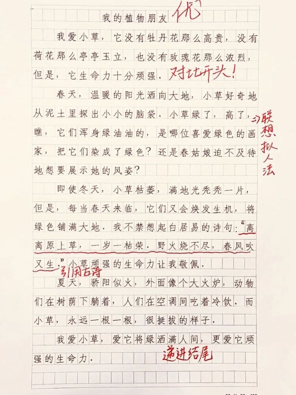 作文《我的植物朋友》 新学期,新开始,三年级第一单元作文《我的植物