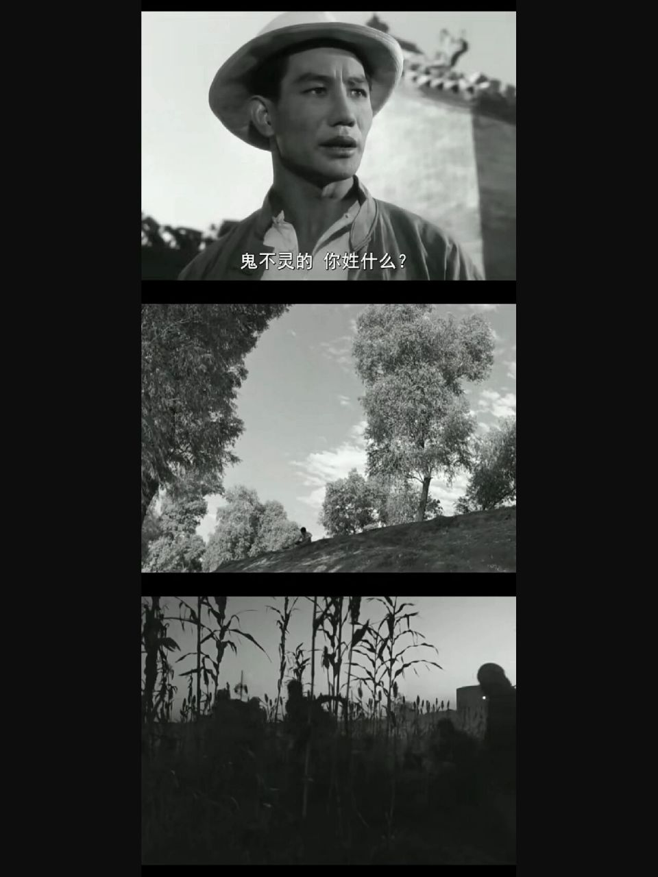 观影记录第十六部《小兵张嘎》1963 9899 导演:崔嵬 欧阳红樱