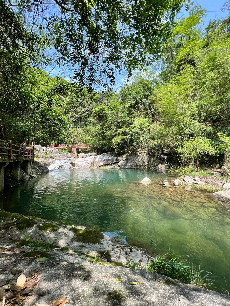 韶关天井山森林公园 51出行不人从众-2 韶关天井山森林公园 5.