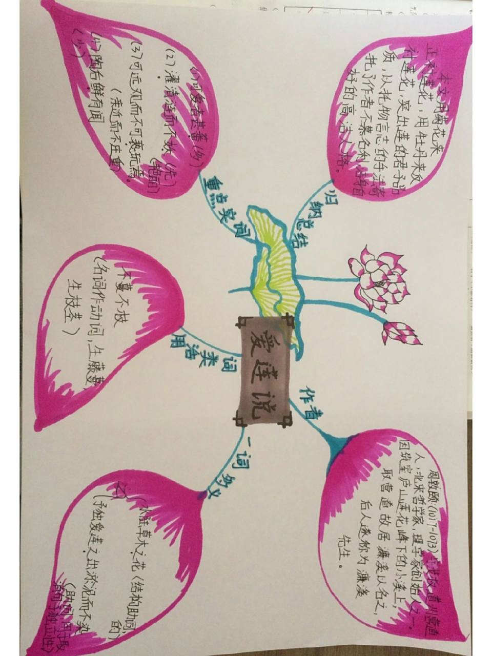 七下语文爱莲说思维导图