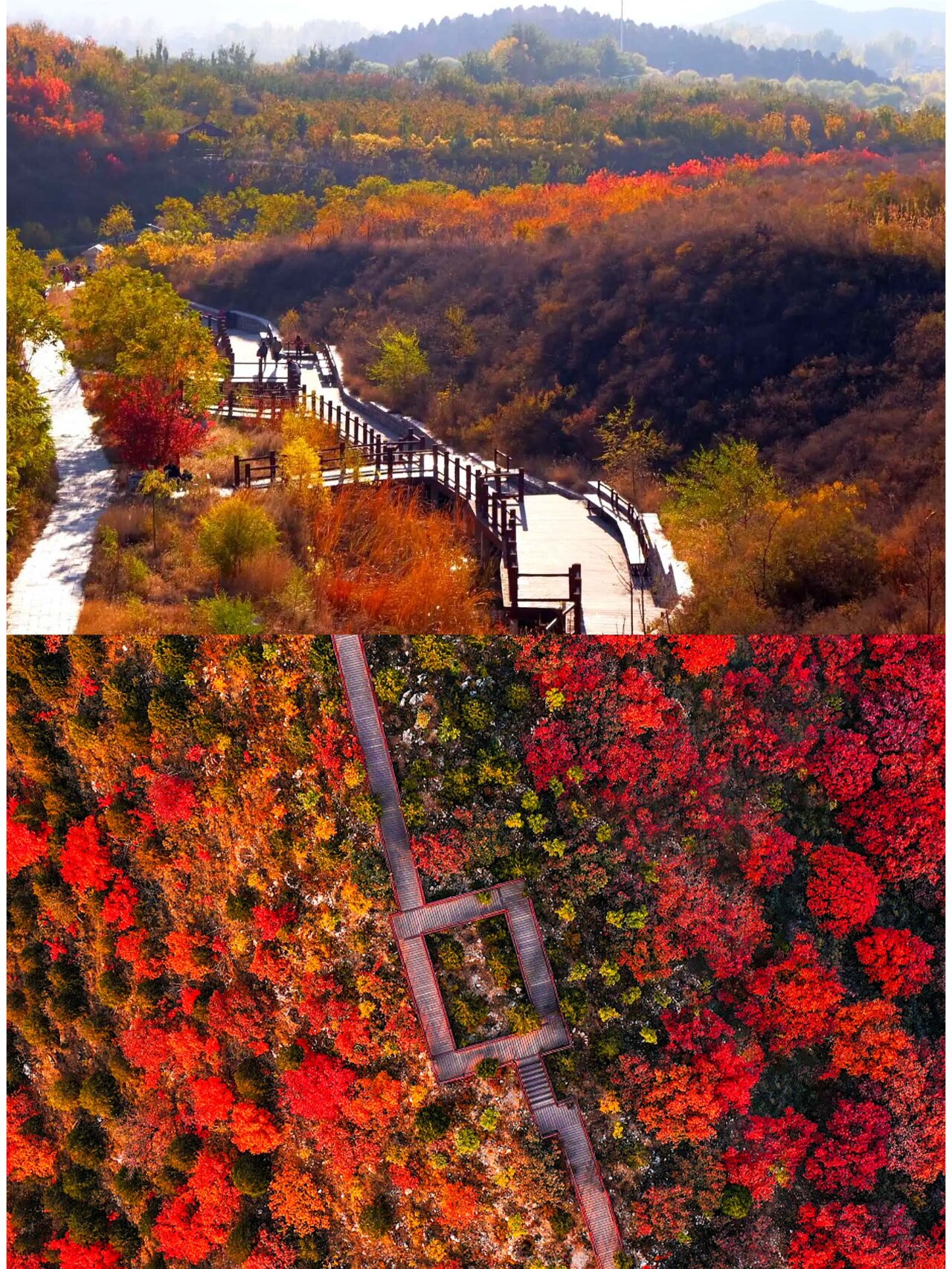 五彩浅山茶棚段图片