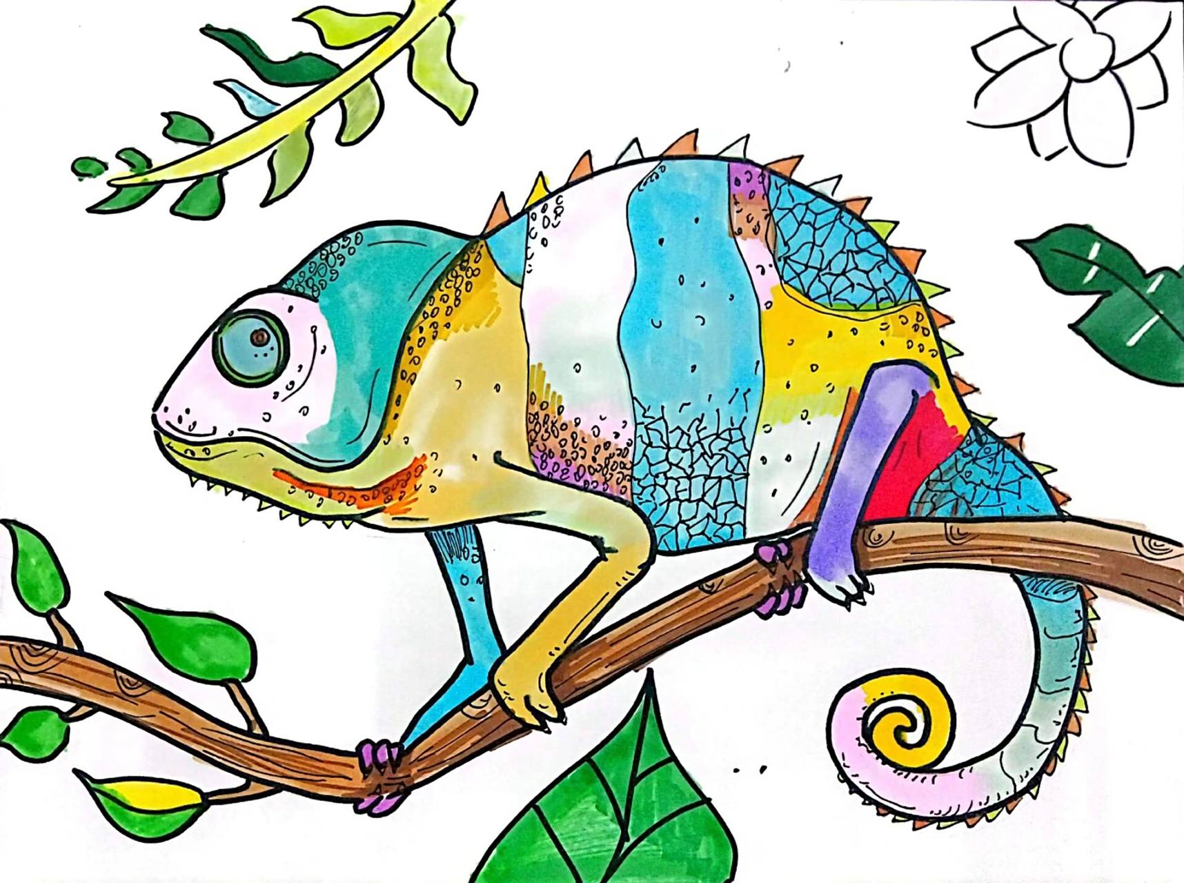 创意绘画-变色龙绘画 98主题:变色龙98材料:黑色勾线笔,卡纸,铅笔