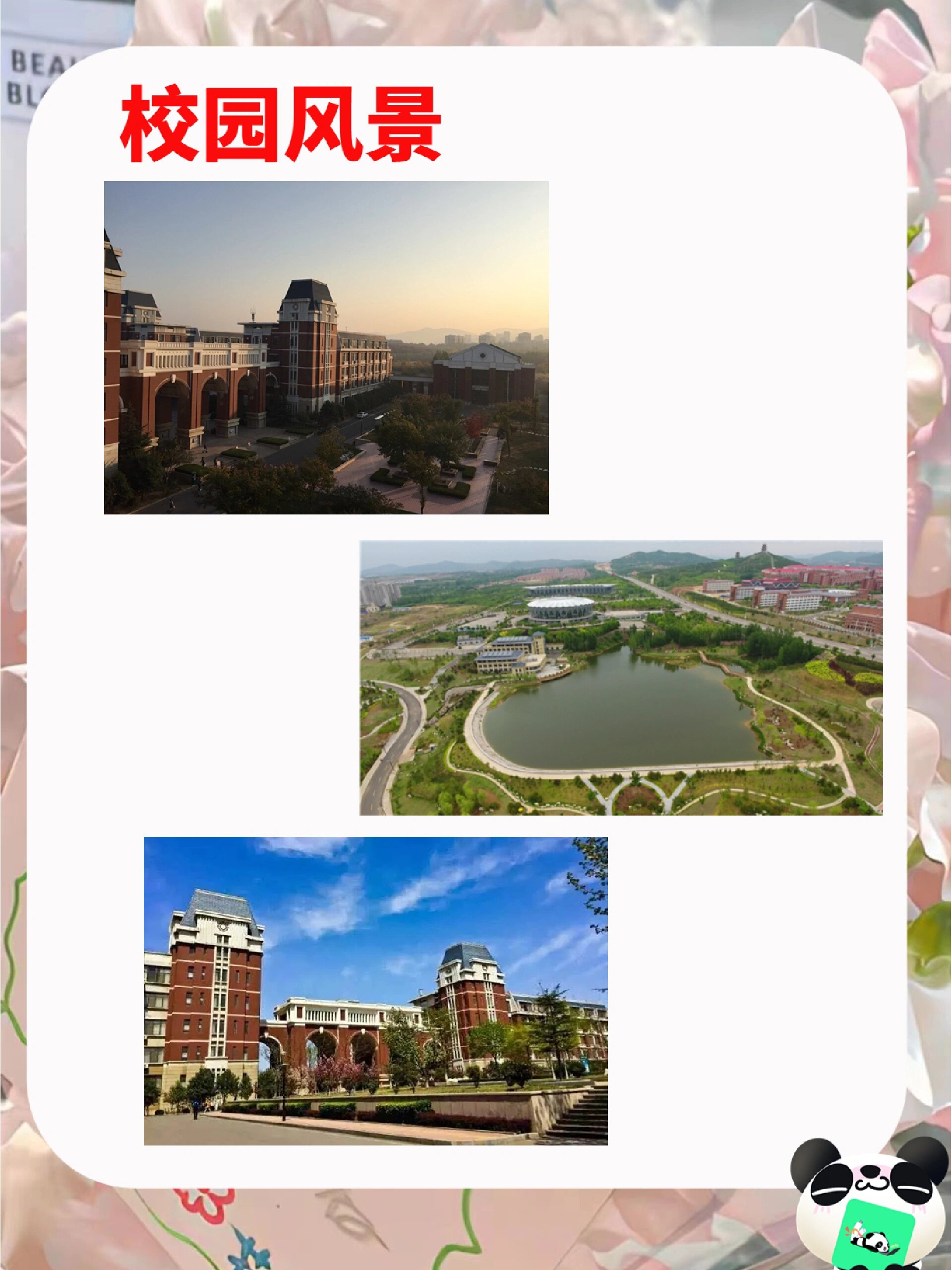 山东经济学院燕山学院是几本(山东财经燕山学院合并山东职业学院)