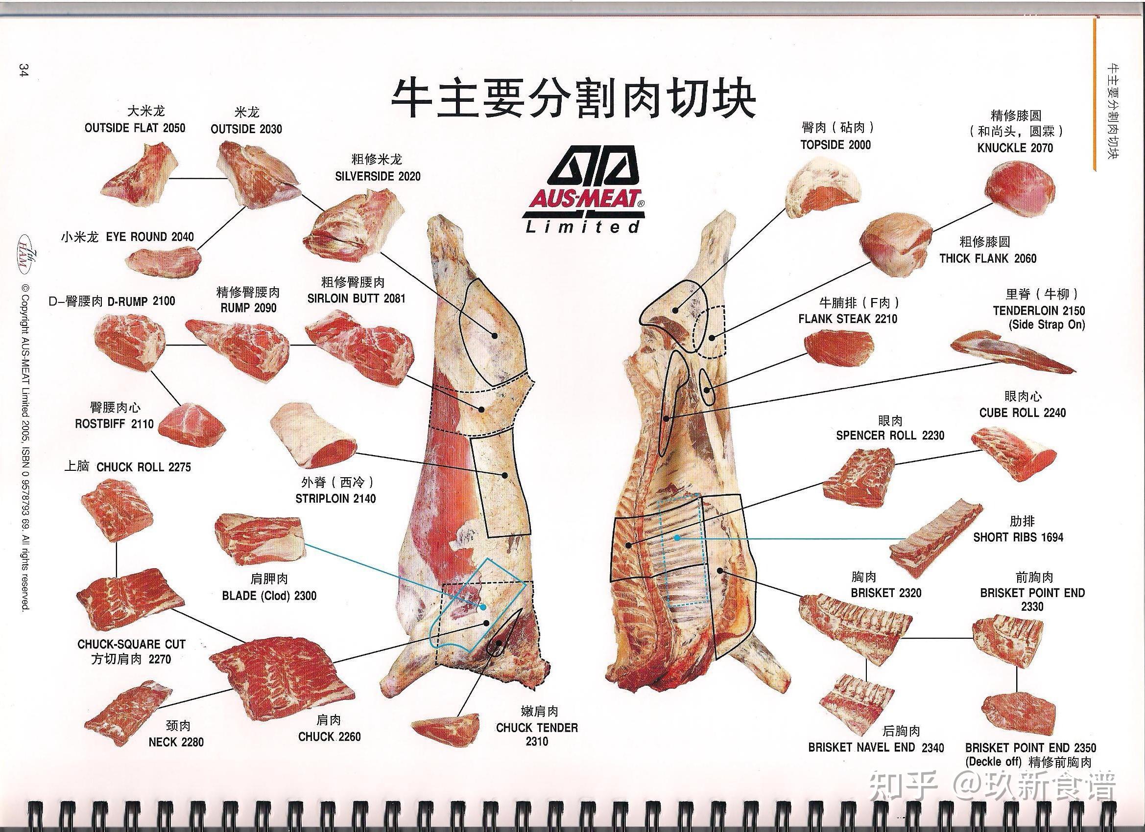 牛板筋在牛身上的位图图片