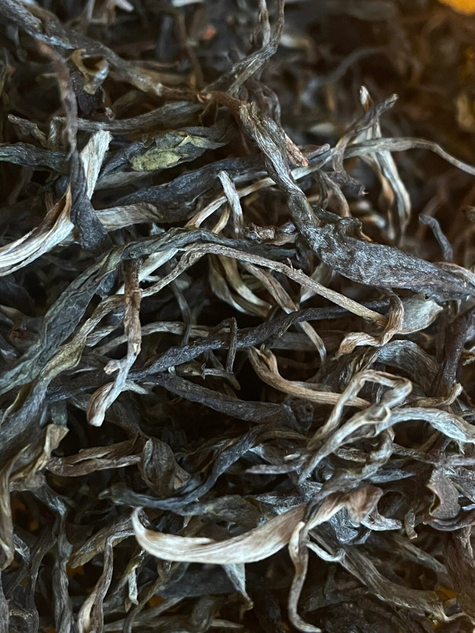 皇家贡茶·困鹿山古树 细叶皇后 贡茶  .