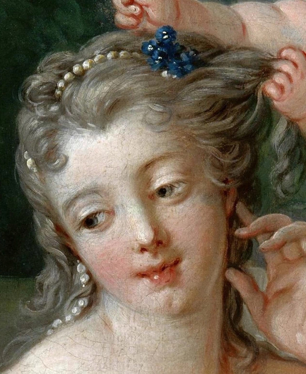 今天你看画了吗|维纳斯梳妆 03996996 弗朗索瓦·布歇(1703