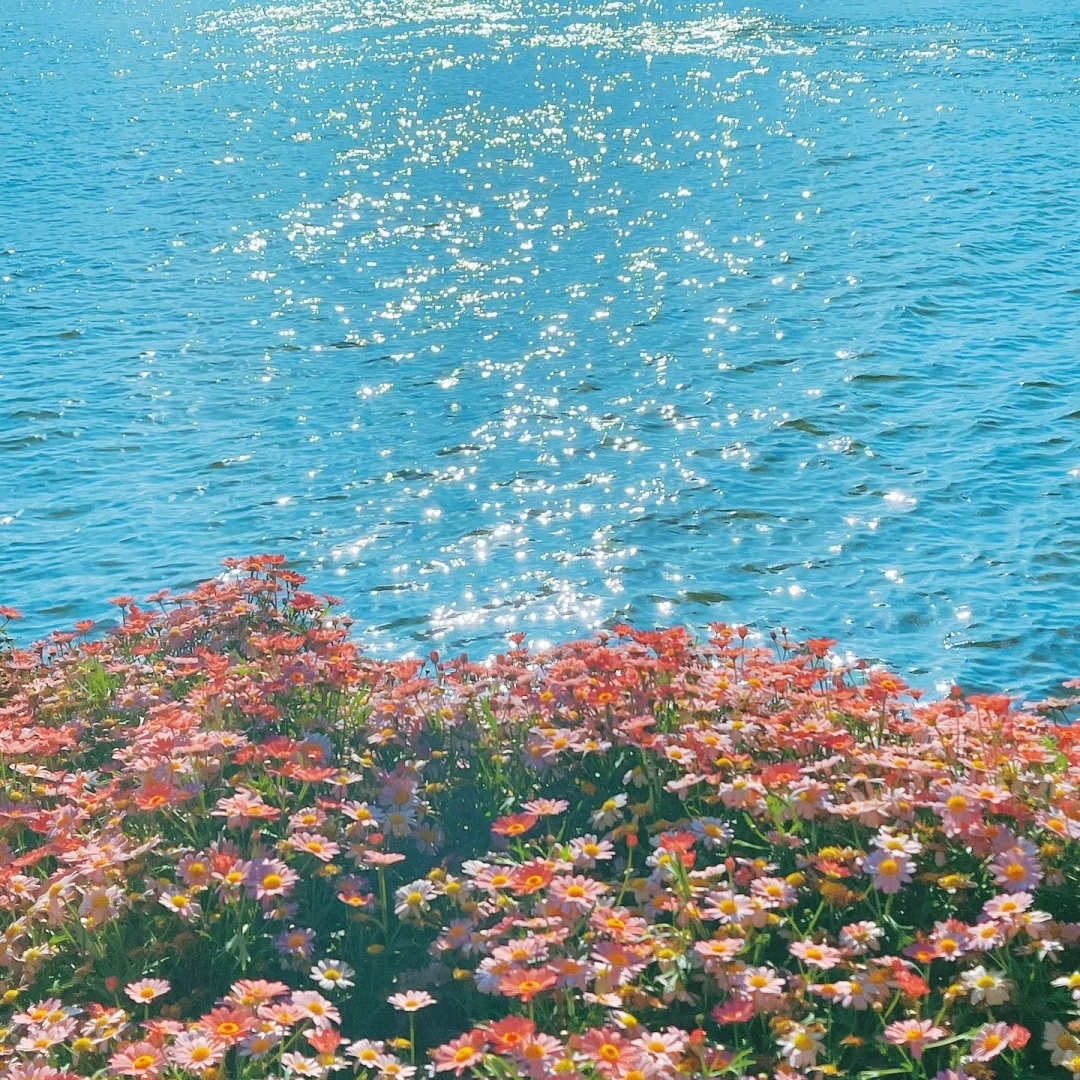 头像风景图片唯美图片