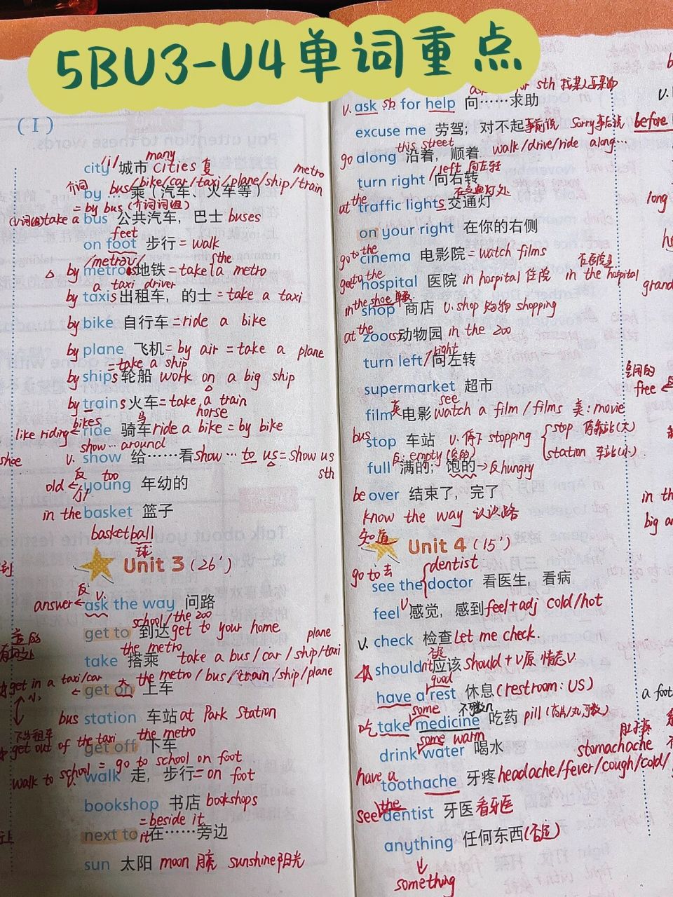 译林版五年级下册5b单词重点笔记 译林版五年级下册英语单词重点5b