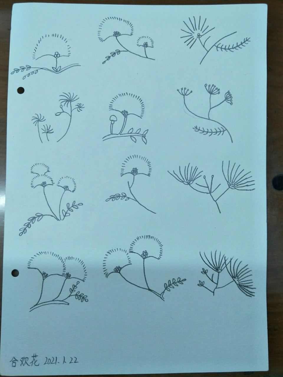 简笔画合欢花,坚持打卡 #绘画