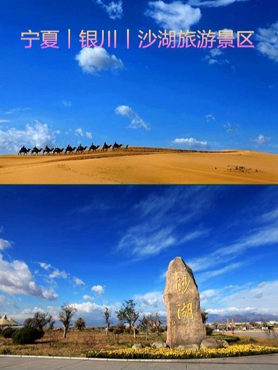 宁夏︱银川必玩景点,沙湖旅游景区 银川是宁夏回族自治区首府,是