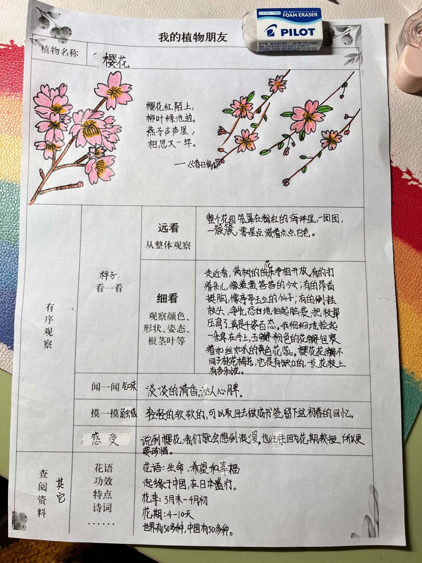 我的植物朋友记录卡怎么写(我的植物朋友记录卡怎么写向日葵)