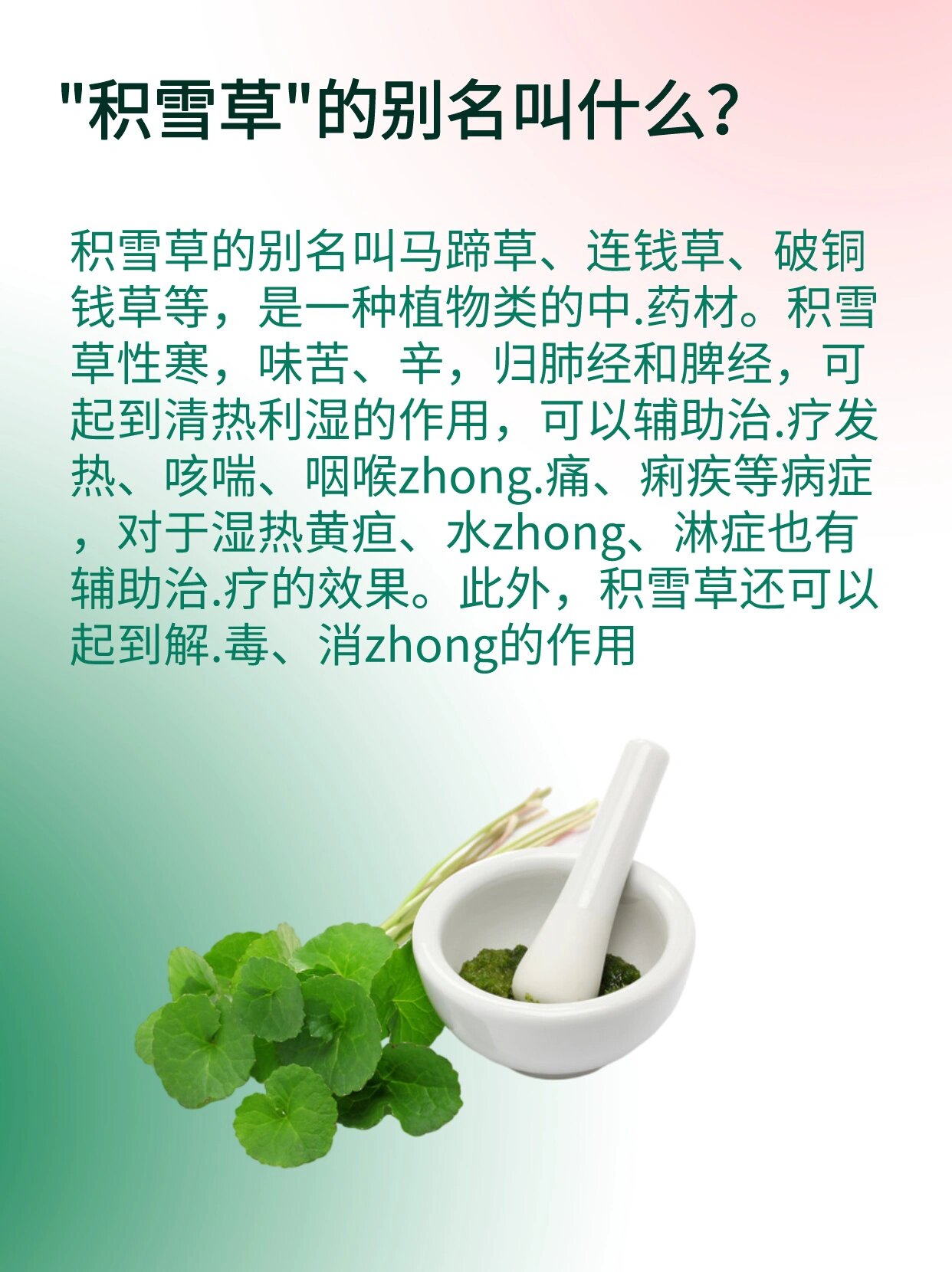 颅痛定别名图片