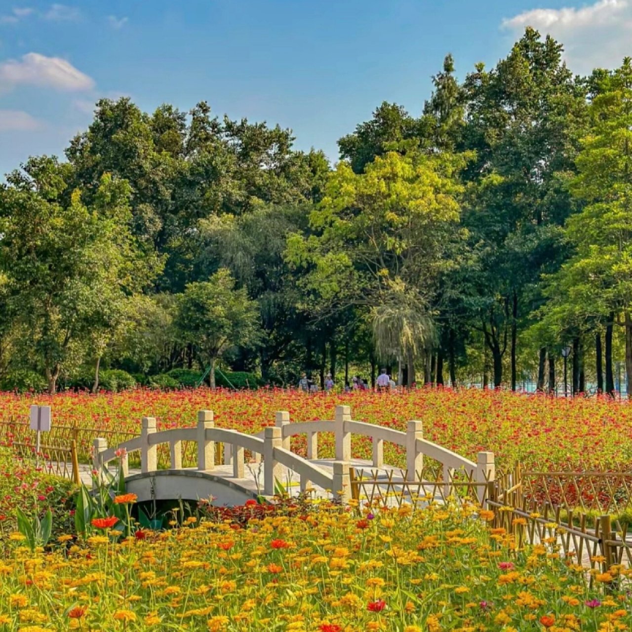 广州周末好去处[彩虹r]黄埔区创新公园 广州周边游黄埔区创新公园