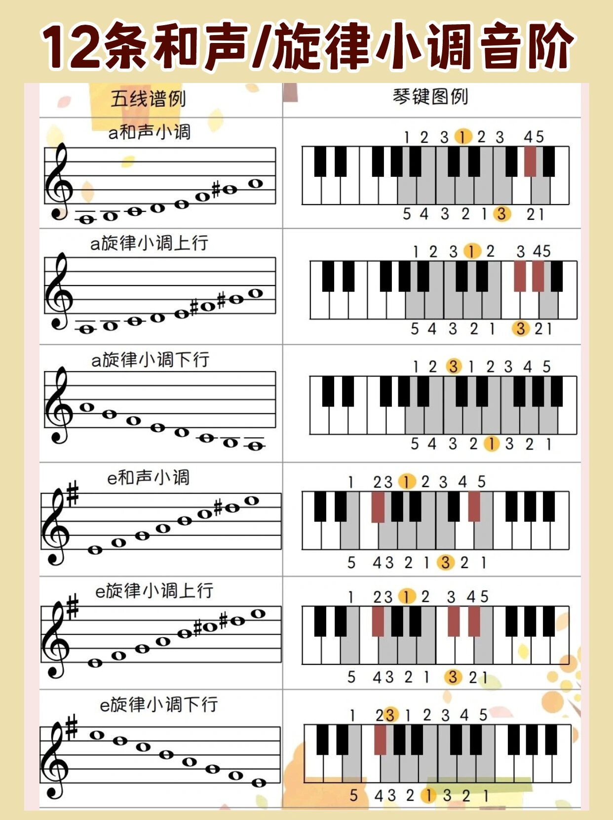 琵琶降b调音阶把位图图片