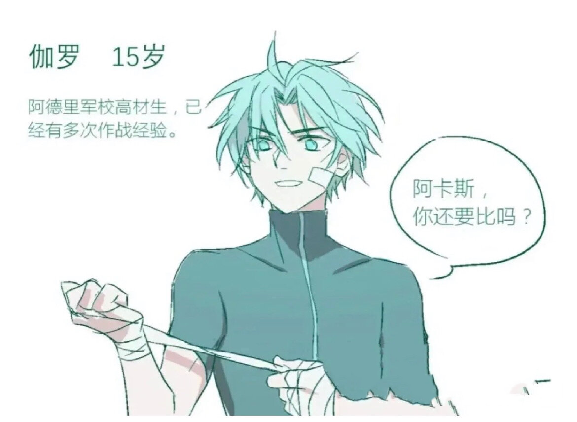 伽罗简介