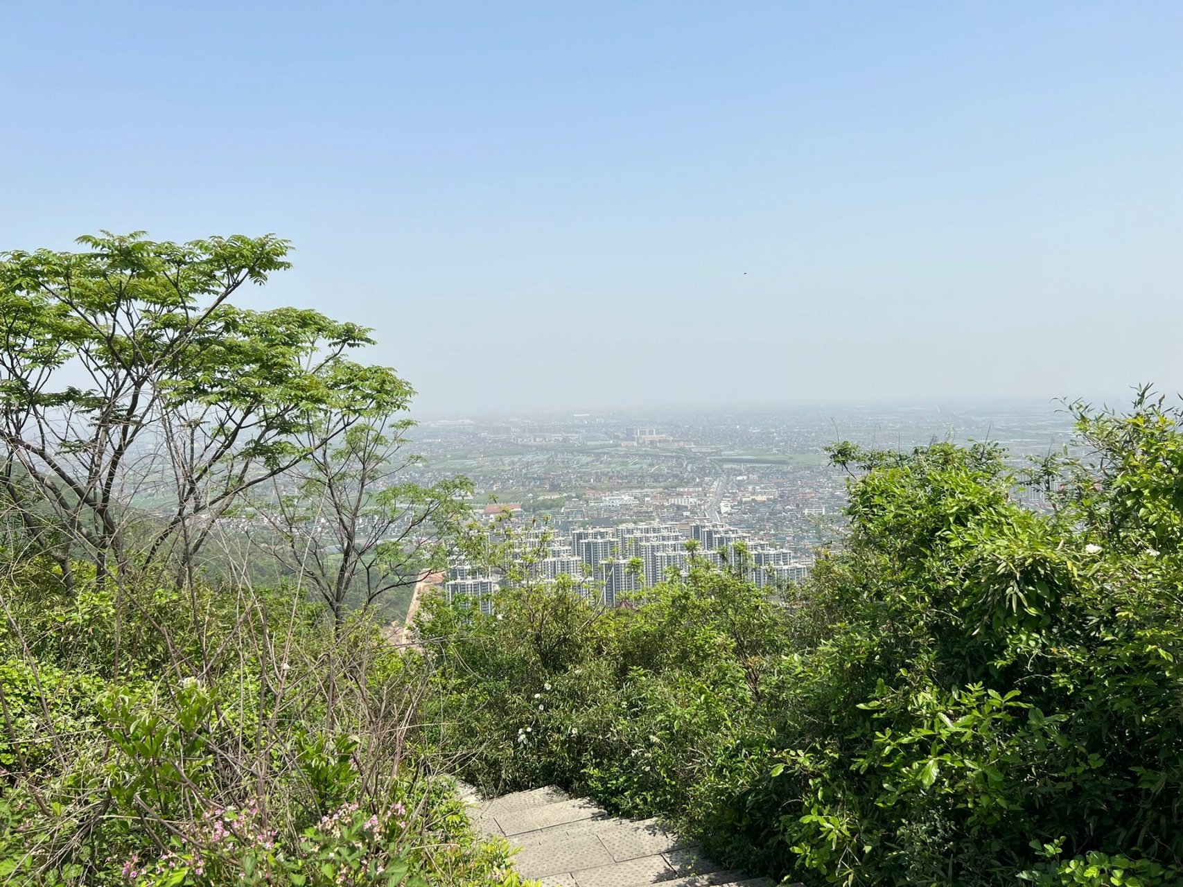 绍兴马鞍驼峰山 绍兴滨海第一高峰,海拔225米,爬起来走走停停大概50