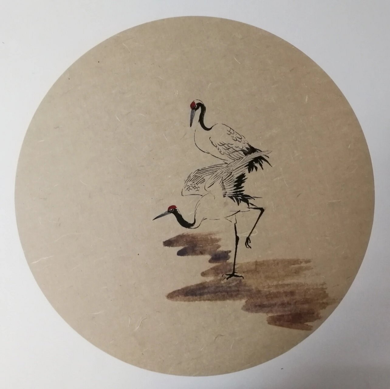 国画仙鹤·起舞   8215材质:45x45cm 半生半熟仿古宣卡纸