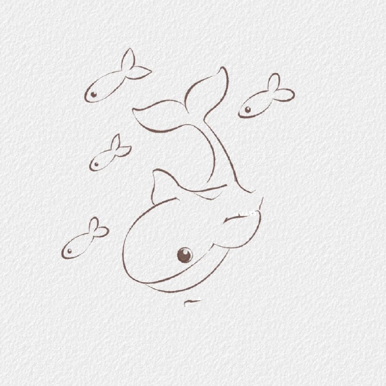 简笔画鲸鱼 海里图片