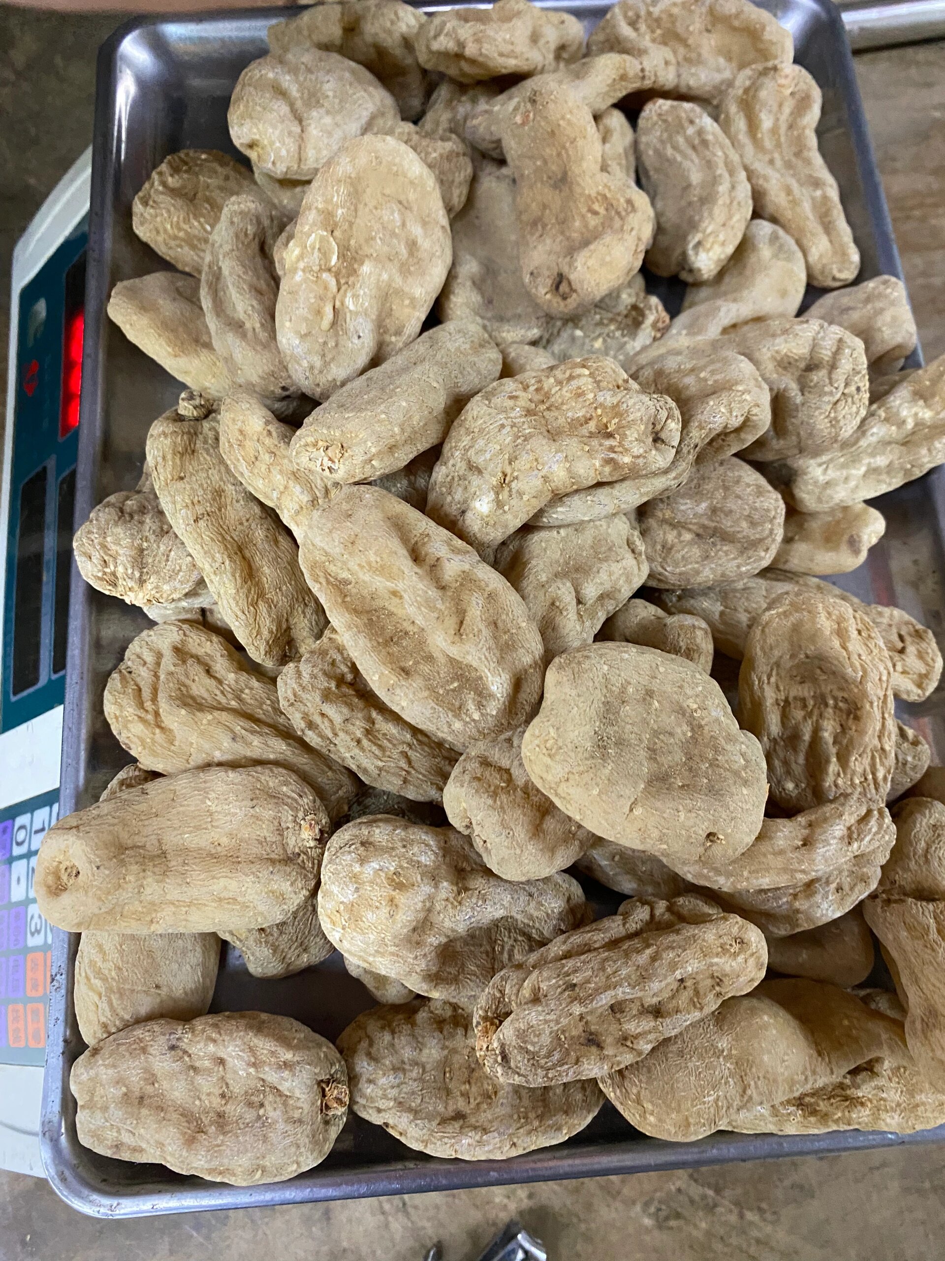 云南昭通小草坝天麻