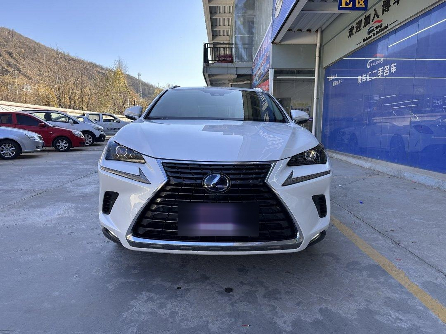2020款 雷克萨斯nx 300h 前驱 锋尚版 国vi 【上牌时间】2020年11月