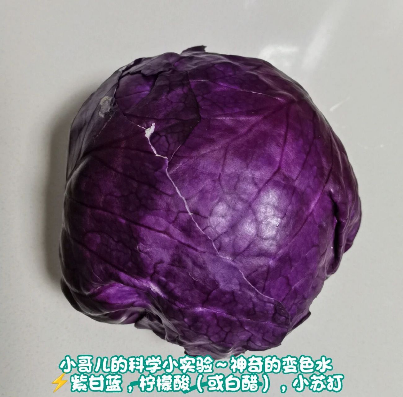 科学小实验～神奇的变色水  73紫甘蓝,柠檬酸(或白醋),小苏打 操作