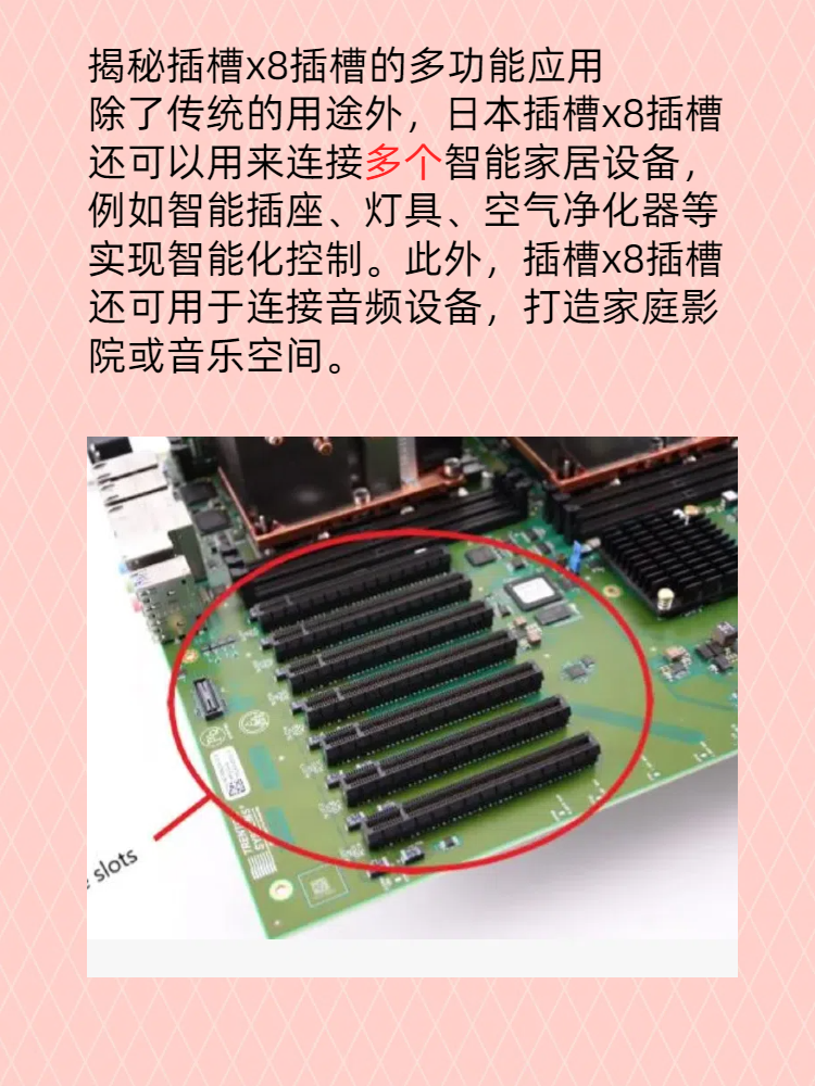 日本x8插槽使用指南
